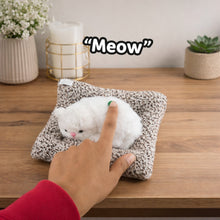 Soft car plush toy        
